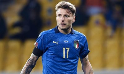 immobile nazionale spalletti