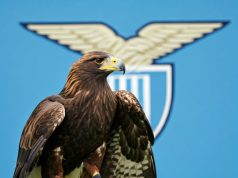 Esclusivo Lazio, 1 nuova falconiera in arrivo: tutti i dettagli sul post Bernabé Lazio, nuova falconiera in arrivo: tutti i dettagli sul post Bernabé