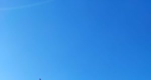 LAZIO: Ultras in Protesta Contro Amichevole a Rieti. “Ennesima Follia, Lotito Si Guardi la Partita da Solo!” Un gruppo di tifosi della Lazio con uno striscione di protesta in un contesto esterno, non allo stadio.