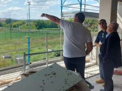 Lotito a Rimini? Petracca smentisce: “Nessuna trattativa di vendita” Lotito a Rimini